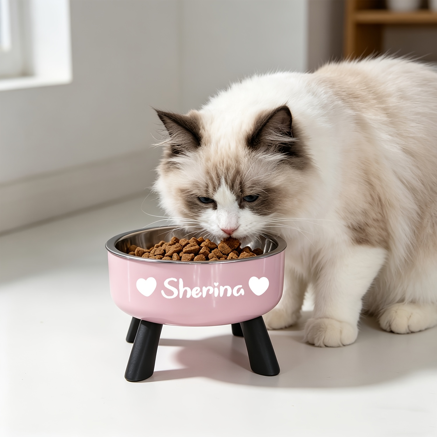 Customized Cat Bowl with Automatic Drinking Water Feature