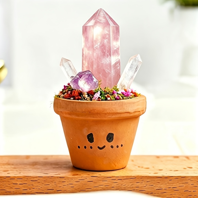 TEMU 1pc Natural Potted Plant, Mini Forest, Meditation , Potted Plant Decorative Ornament