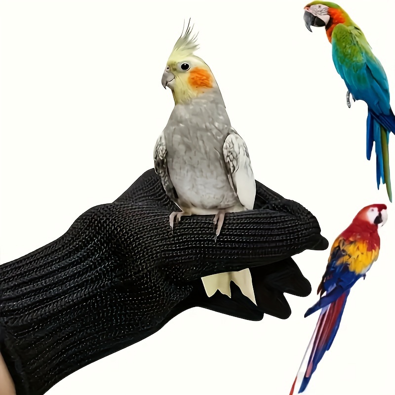 

[1 Pair Pet Handling Gloves] 1 Pair Bird Handling Gloves, Pe Material, For , Bird Training & Feeding Tools, With Bite-resistant For Birds, & Small Pets