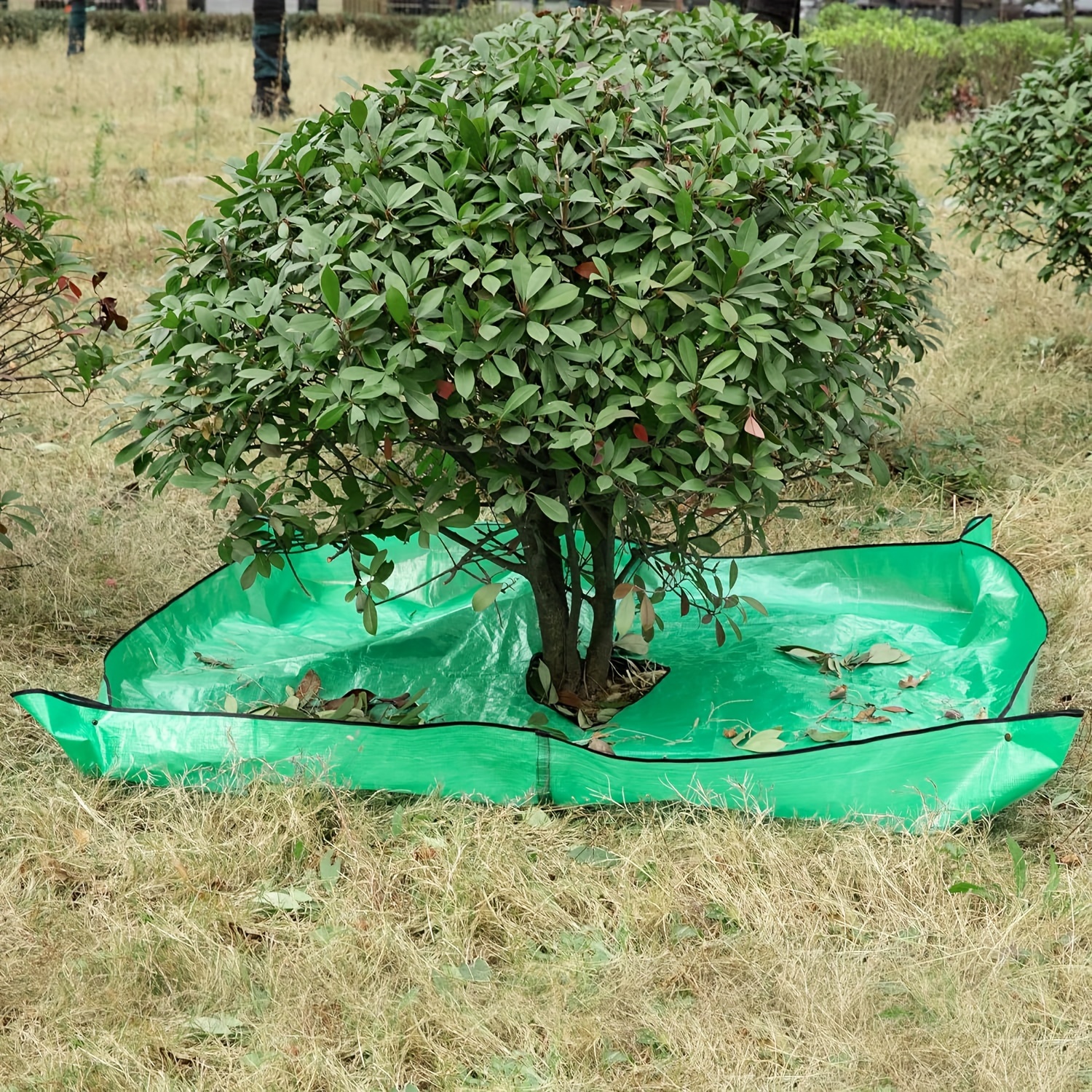 

Reusable Pe Landscape Tarp 78.74" X 78.74" - Waterproof Garden Tarp With Corner Buckles For Tree And Shrub Pruning Accessories, Ideal For Yard Waste Collection