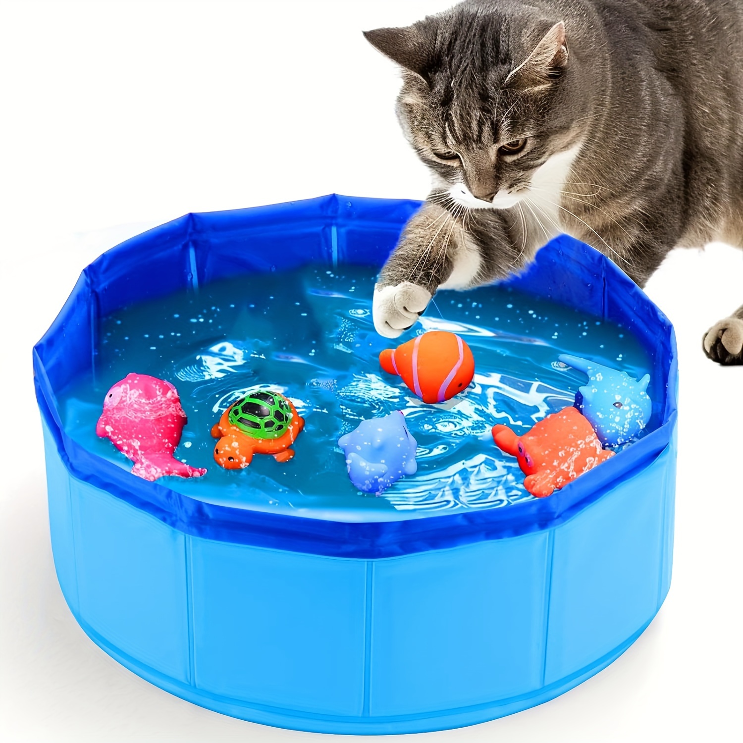 

6pcs 1set Cat Pool Toys, With Fish - Water Cat Toys, Portable Cat Pool Toys, Cat Toys Prepared For Bored Indoor Cats, Interactive Cat Toys For Indoor Cats, Let Cats Play Endlessly