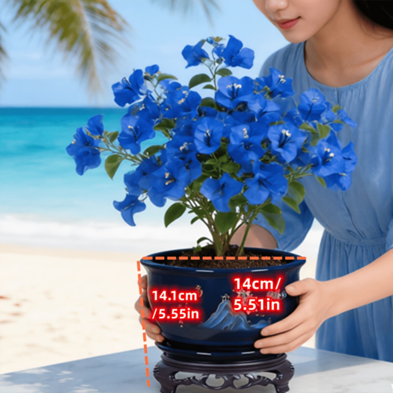 oriental garden pots sold on Temu United States
