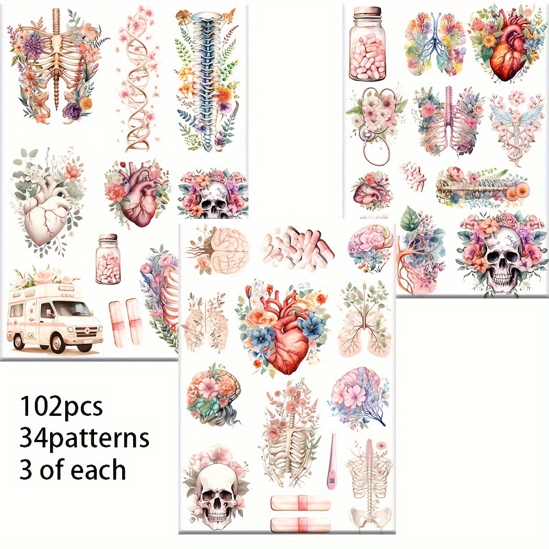 Image of 102pcs Jai Iman Human Anatomy Stickers Suitable For Day, Education - Detailed Body Organ Charts (heart, Lungs, ) With Plant & Flower Patterns - // For Scrapbooking, Junk Journaling, Healthcare Decor