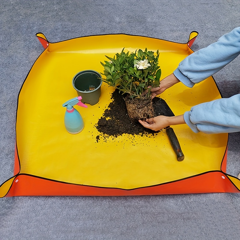 How to Fertilize Trees and Shrubs - Grass Pad