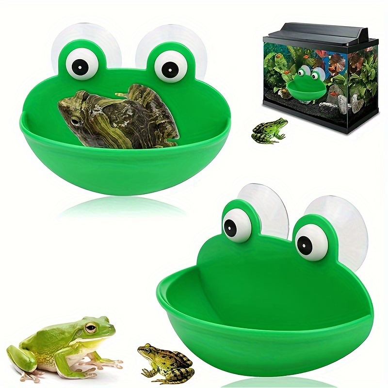 Frog Terrarium - Free Shipping On Items Shipped From Temu United Kingdom