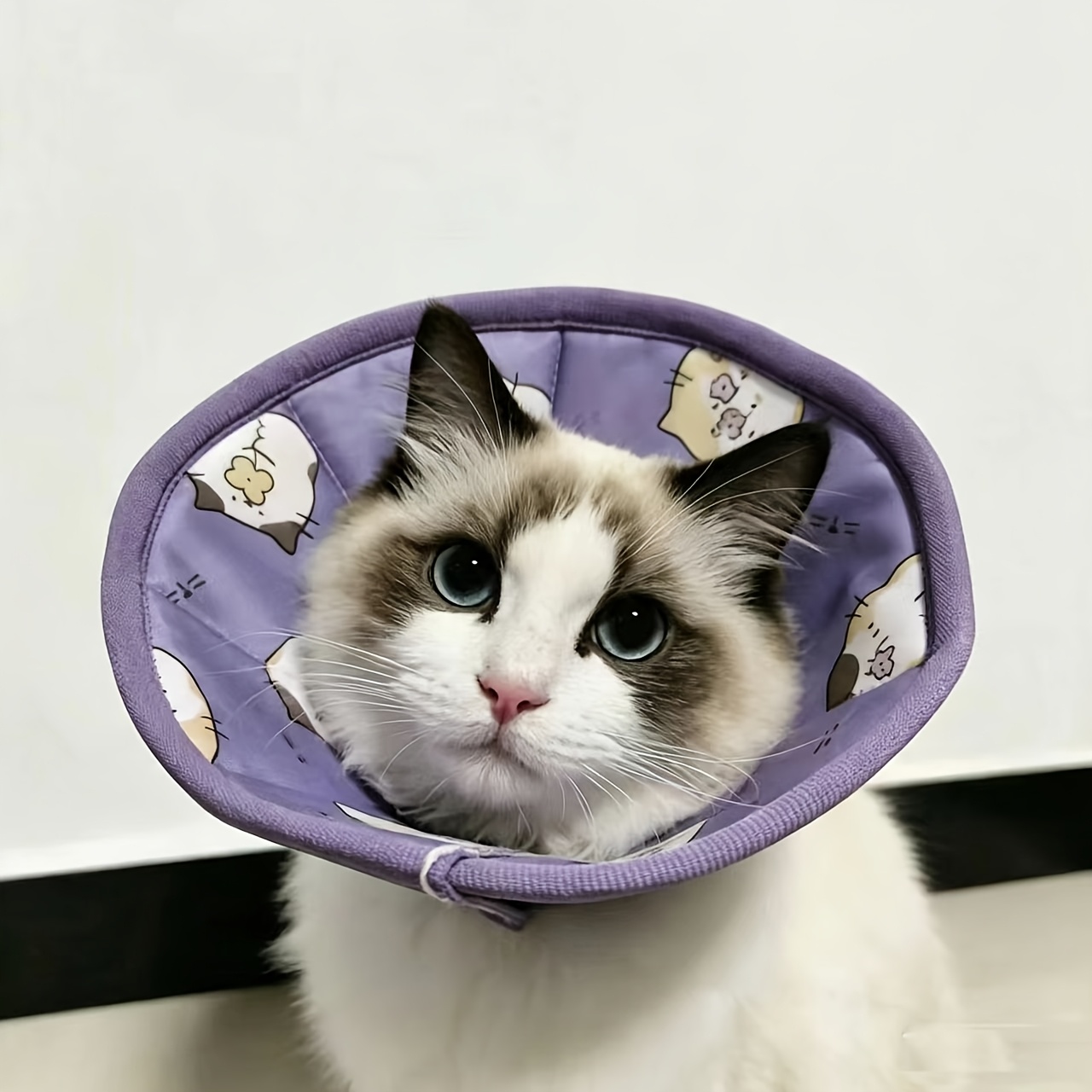 TEMU Pet Post- Anti-licking Circle Small And Medium Dogs Soft Cloth Elizabethan Collar Puppy Soft Neck Collar Dog Recovery Protection Neck Collar