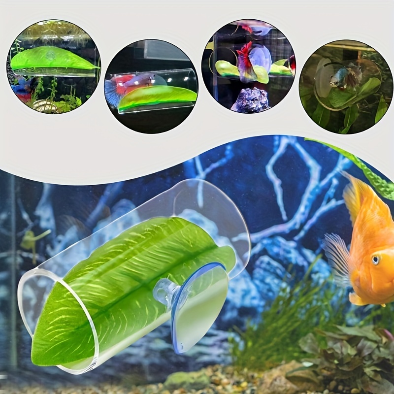 

1pc Transparent Acrylic Betta Fish Tunnel - Small Aquarium Decor With Suction Cup, For , Ideal Hideaway & Swim Tube For Betta Fish, Fish Hideaway|underwater Viewing|transparent Construction