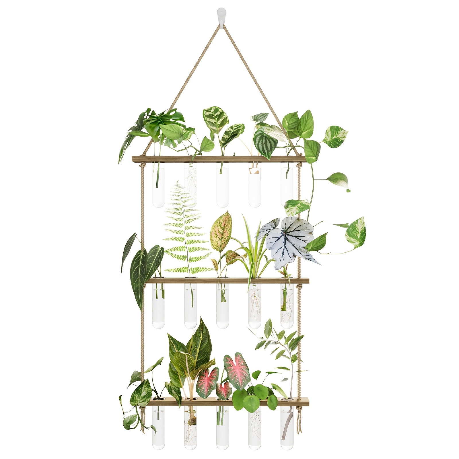 Image of Bamworld Plant Propagator Station With 15 Test Tubes And Wooden Stand For Plant , Hydroponics, Succulents, Indoor Plants - Accessory For Propagation And Home Decoration