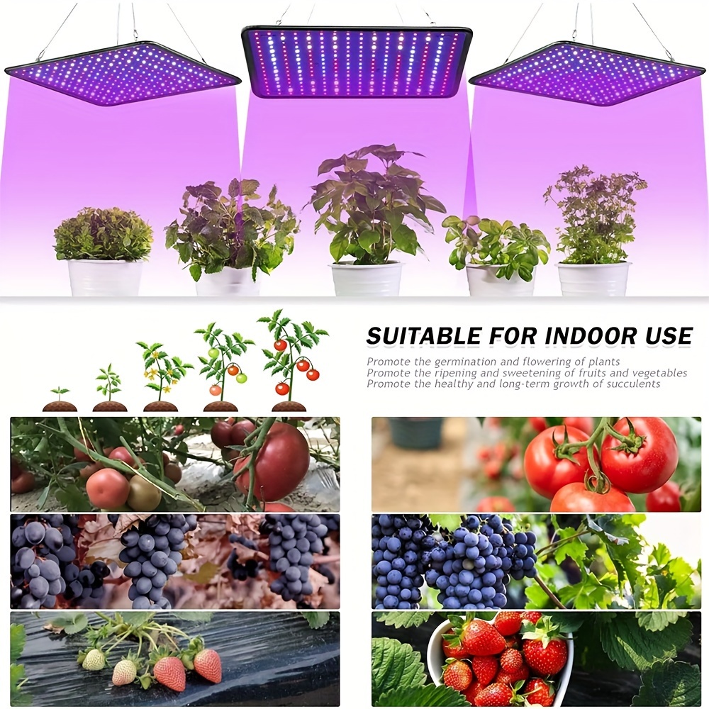 

225led - That Plants To And The Suitable Hydroponics