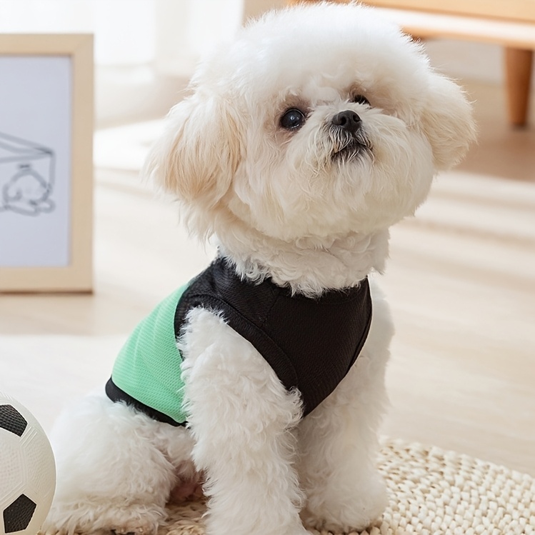 [Customized Colored Logo] - Pet Customizable - Breathable Mesh Vest - Suitable for Cats And Dogs - with Paw Print Design And D-Ring - for Leash Use - Available in Pink, Blue, Green, Lemon Yellow, And Light Purple - with 4 Sizes to Choose from