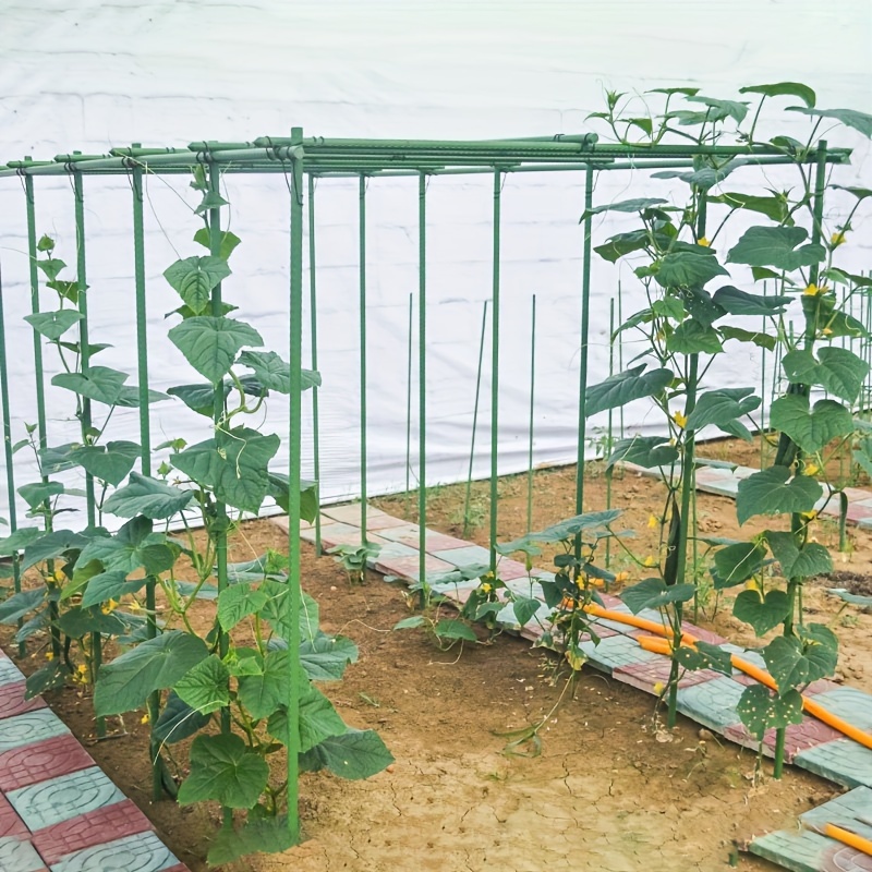 24 Rankhilfen Für Tomaten & Gurken – Gartenpfähle 30 Cm, Aus PVC, Für Kletterpflanzen