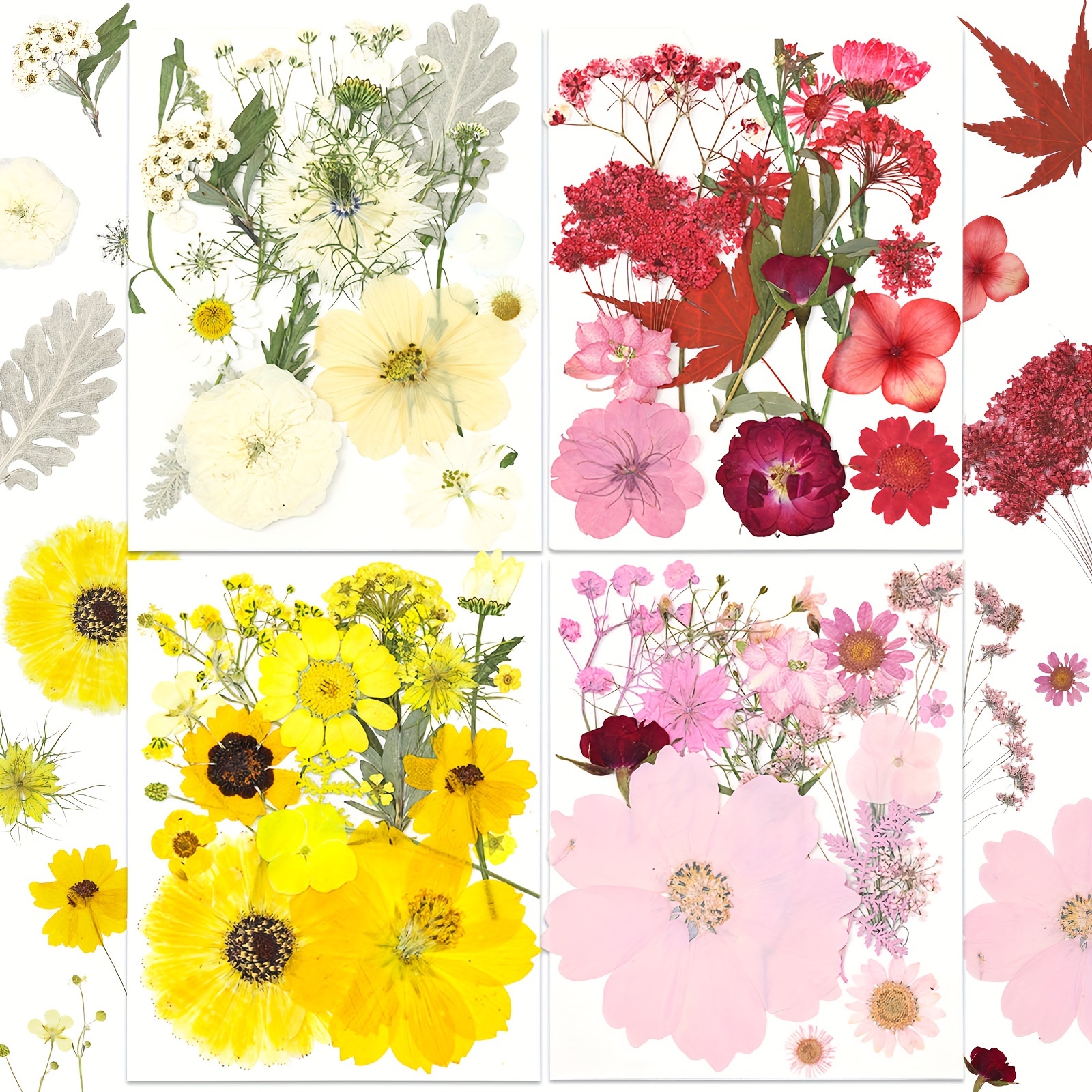 DIY con flores secas / Pressed dry flowers DIY  Manualidades, Arte con  flores prensadas, Decorando tazas