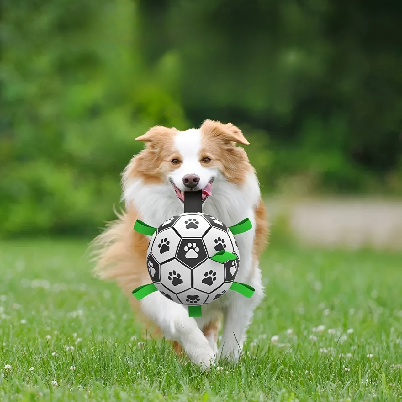 

Heavy-duty Dog Soccer Ball With Chew Strap - Ideal For Large Breeds, Outdoor Play & Dental Health