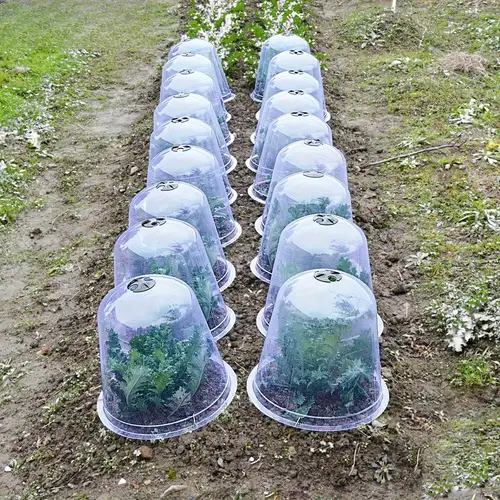 Produktbild von Wiederverwendbare Pflanzenschutzabdeckung - Mini-Gewächshaus