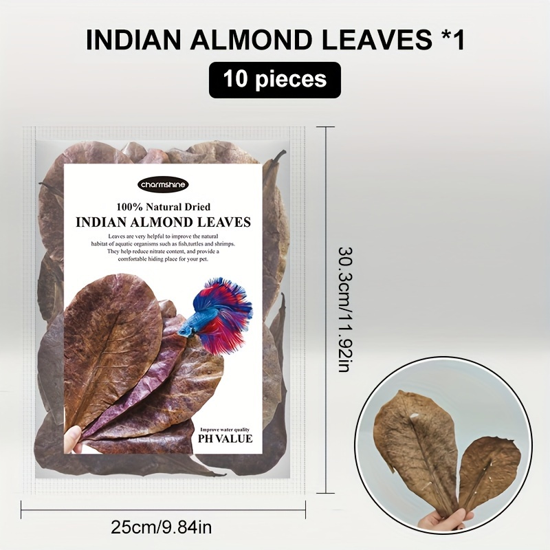 10 pack natural dried     leaves for aquarium premium indian almond leaves enhances water quality lowers ph antibacterial fish   decor stimulates breeding provides resting shelter and   heal fish   pure   wood for all fish   details 2