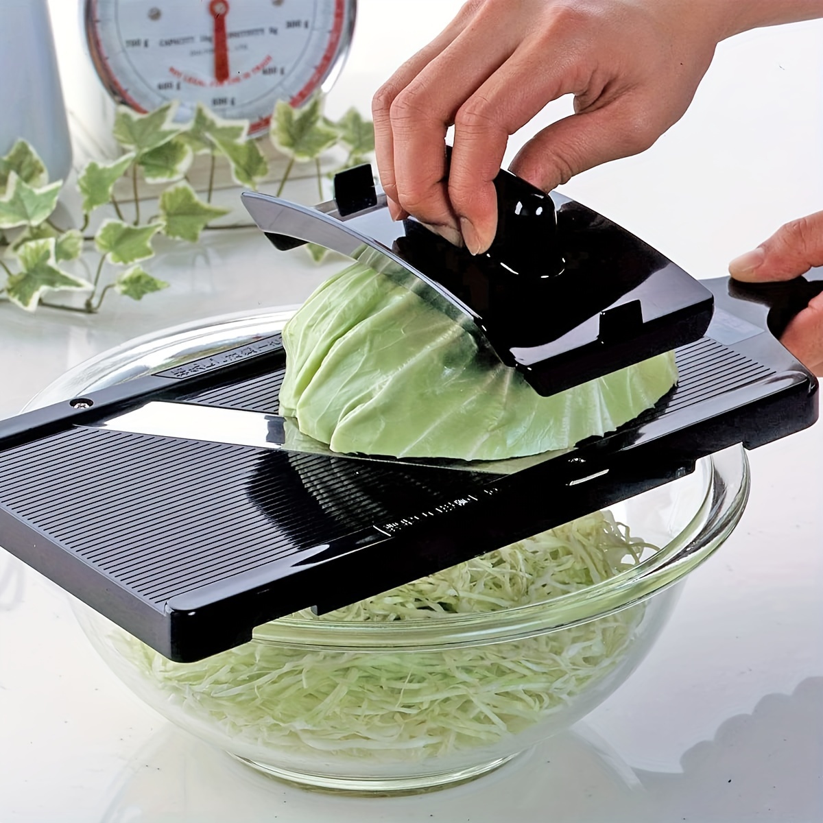 

Shop 35950 Cabbage Slicer, Wide (), Fluffy Julienne With 0.04 Inch (1 Mm) Wide, Sharp Sharp, Whole Half-ball With Holder