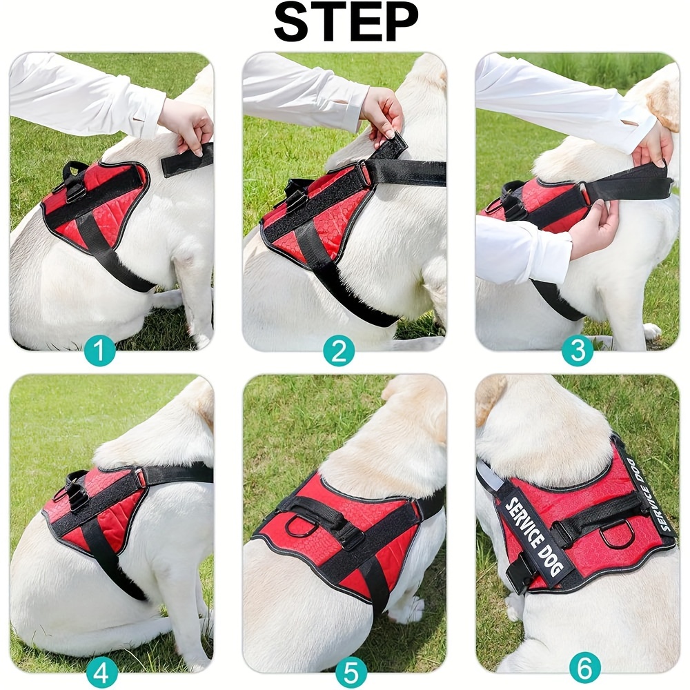 Dog Harness Image 1