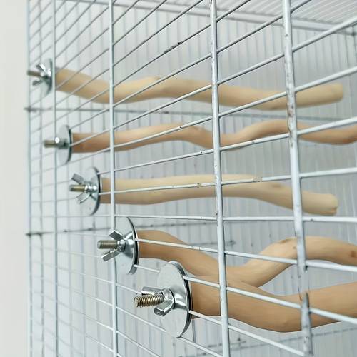 5pcs natural perches parrot stand and nail grinding toy safe and smooth indoor outdoor bird cage additions