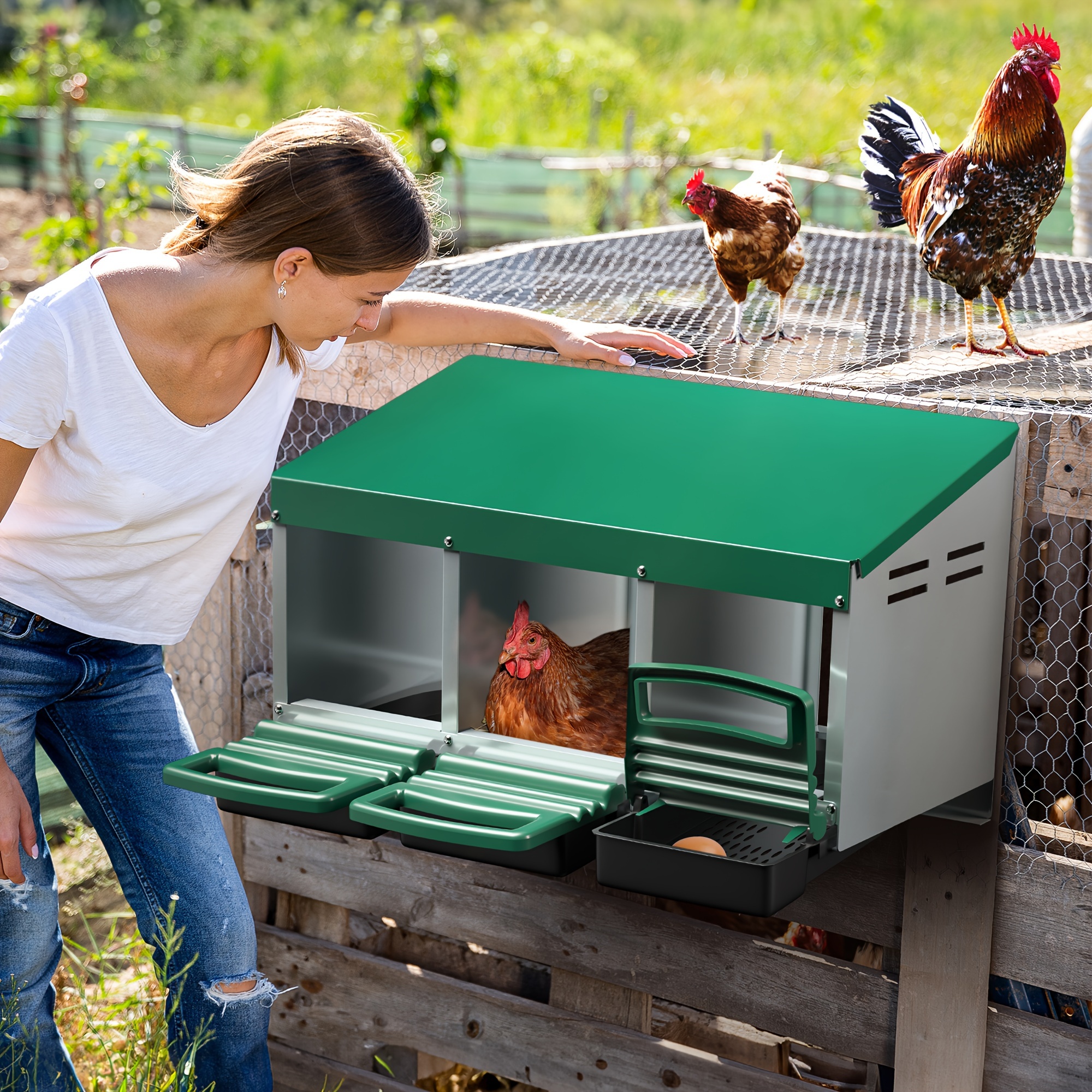 

Genimo 3 Compartment Roll Out Nesting Box For Chickens | For Up To 15 Hens | Heavy Duty Chicken Coop Nesting Box With Lid Cover To Protect Eggs