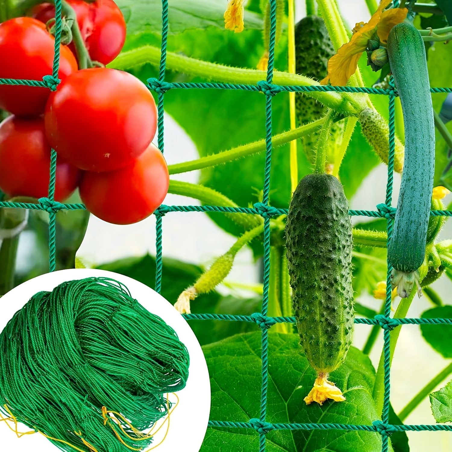 

High-quality Nylon Garden Netting For Climbing Plants: Supports Cucumbers, Squash, And Flowers - Green