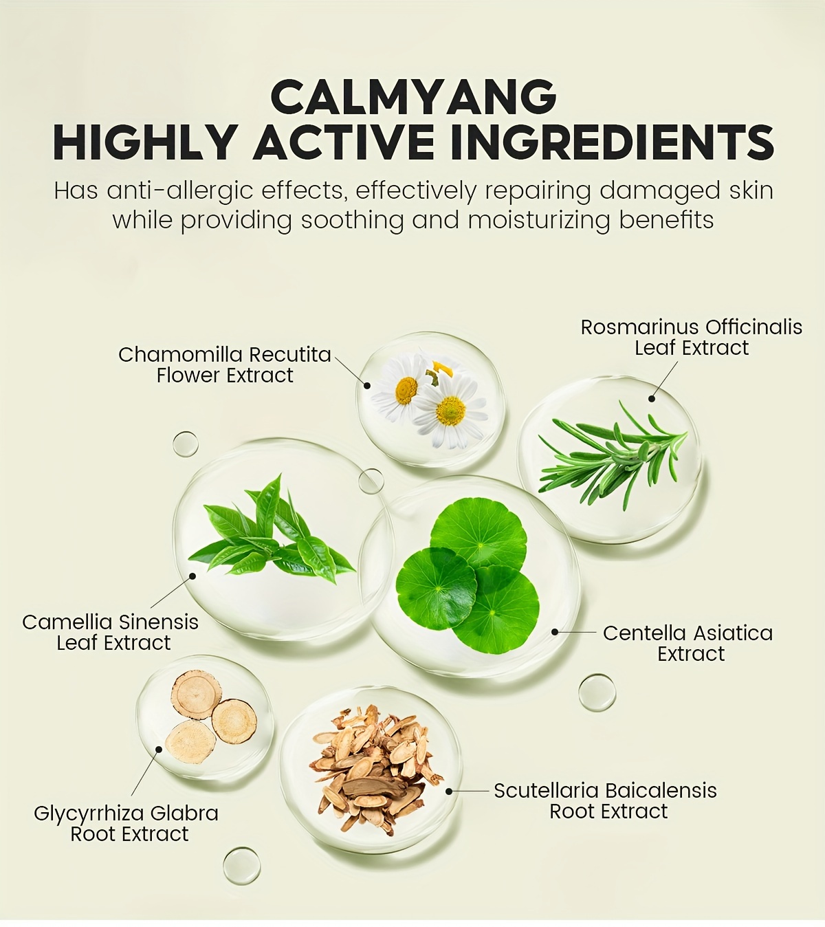 ReboHexan Spüllösung 1 Liter - Wundreinigung Für Haustiere, Alkoholfrei & Schmerzfrei