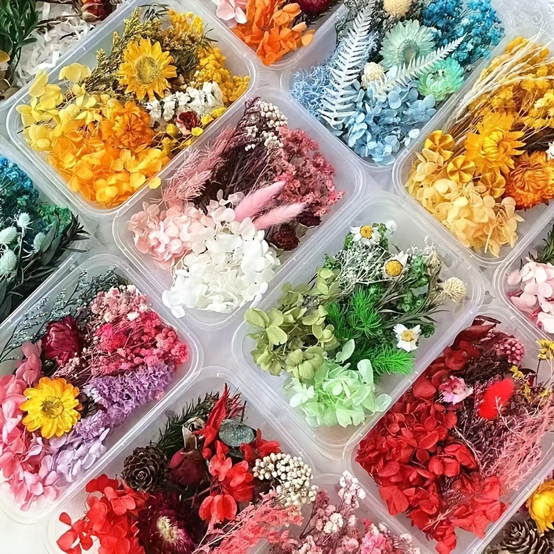 Preserved Flower DIY Kit with 8-10 Flower Types, Photo Frame, Candle, Aromatherapy, Soap, Straw Hat Materials, Gift Set