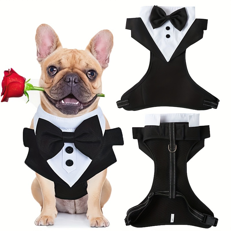 

Stylish Dog Suit Harness For Small & Medium Dogs - No Choking, Maximum Comfort!