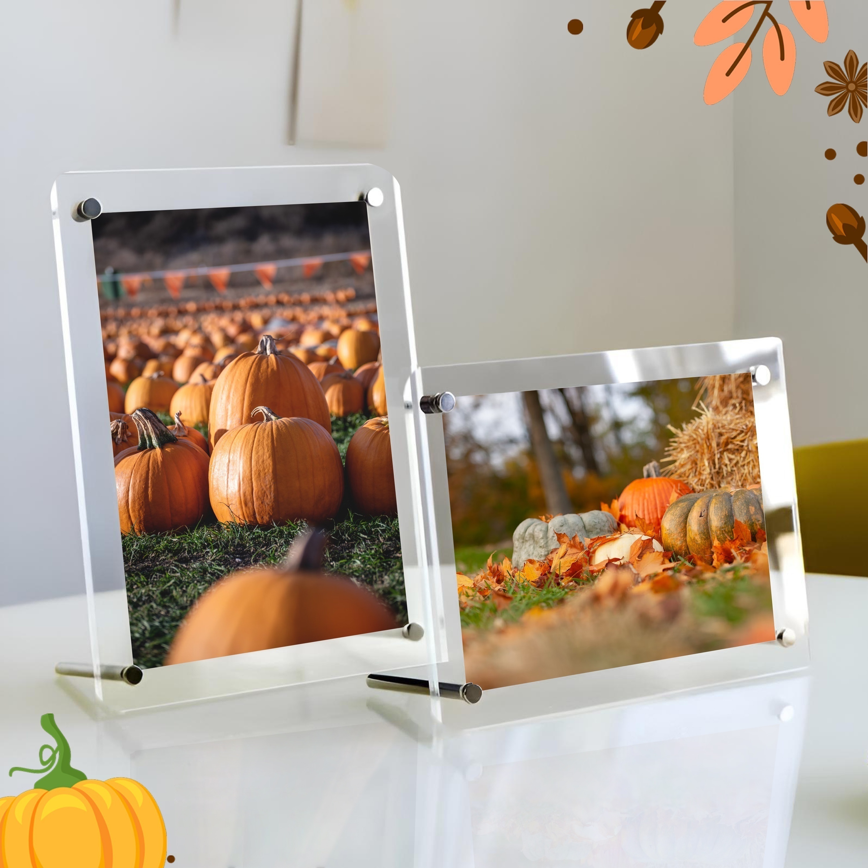 シングルまたは アクリルフォトフレーム 証明書や写真の な