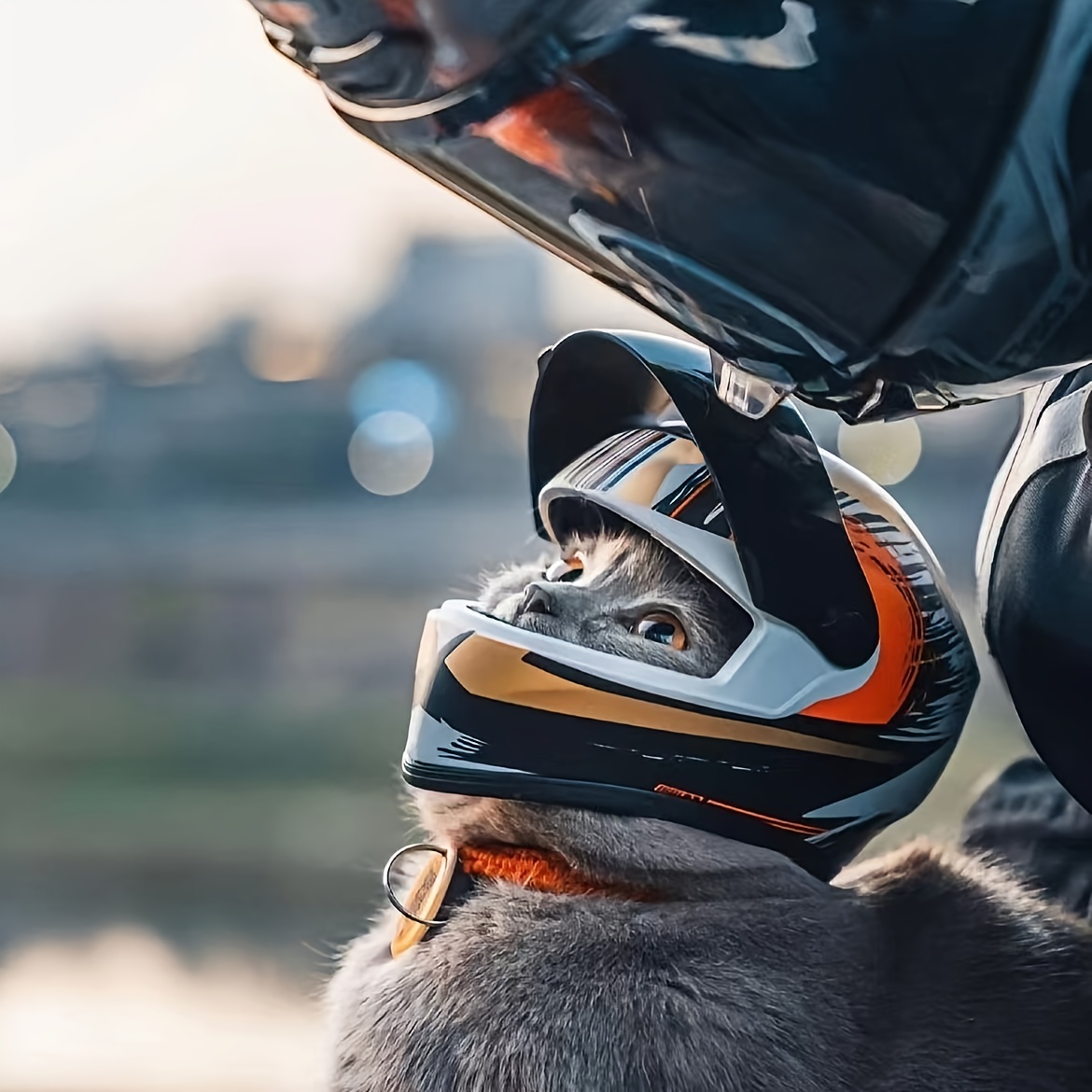 chrome german style motorcycle helmet Novelty German- Chrome M