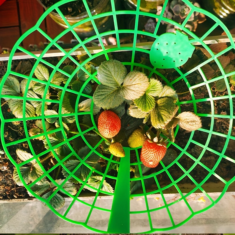 

10pcs Strawberry Plant Stakes: 3 Sturdy Legs, Planters And Frames - Your Plants From Mold, Rot And Dirt!