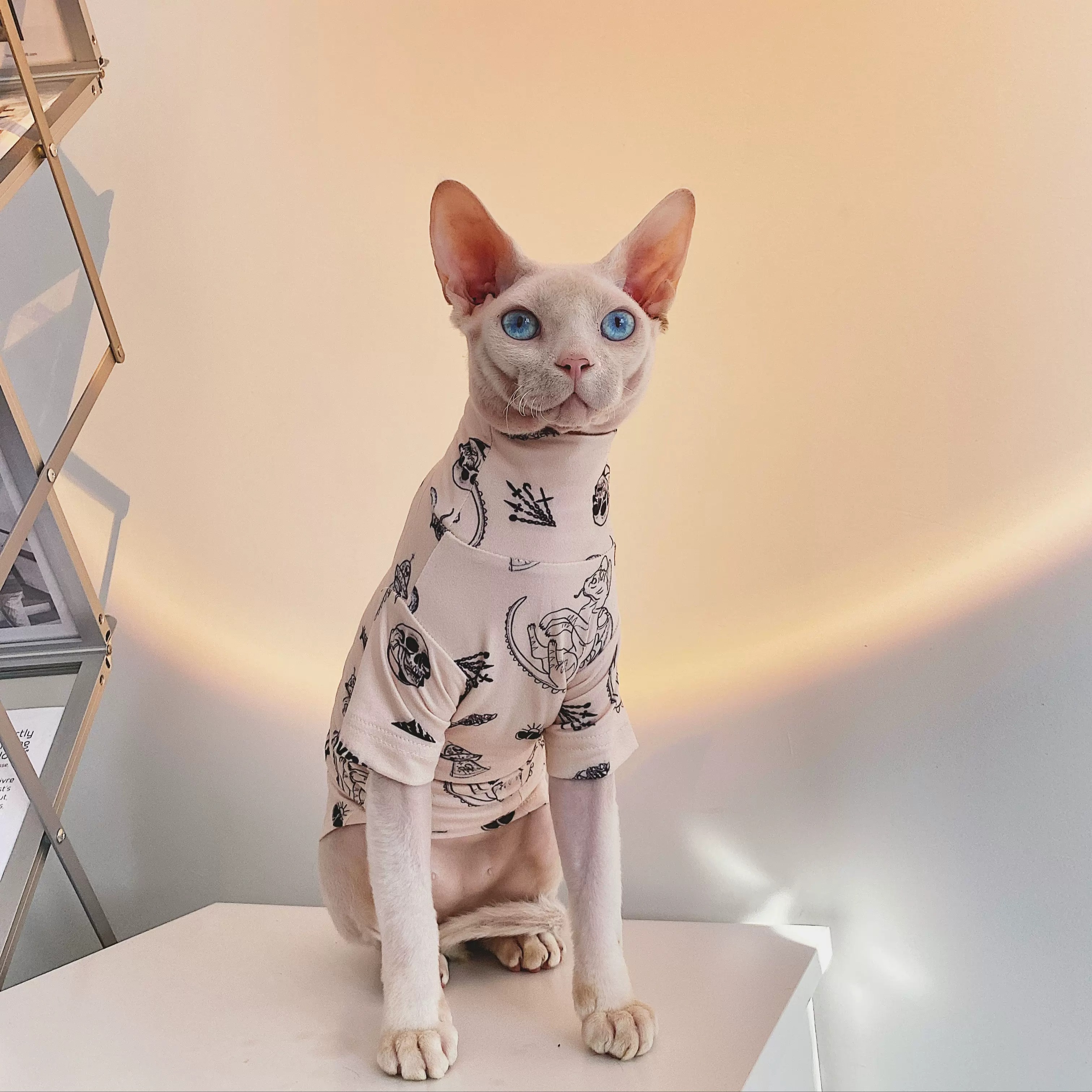 Cute Sphynx Shirts Sphynx Tshirt, Cat Lover Gift, Cat Clothes For