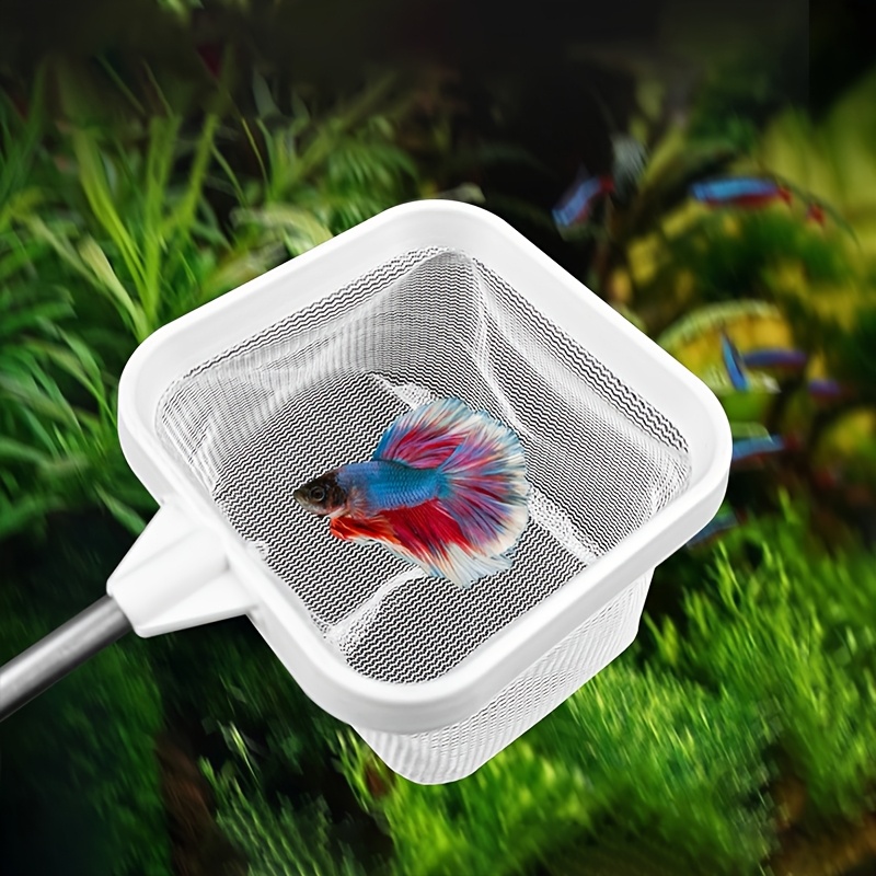 

Filet de pêche carré rétractable avec ventouse, poignée longue, matériau ABS, idéal pour attraper des poissons et des crevettes dans les aquariums, fournitures de nettoyage pour aquariums