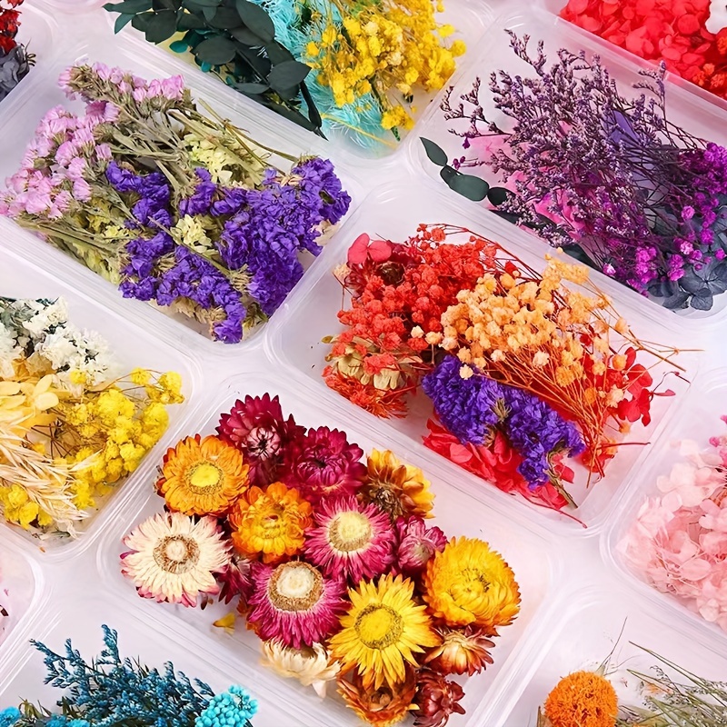 Preserved Flower DIY Kit with 8-10 Types of Flower Materials, Photo Frame, Folding Fan, Candle, Aromatherapy Flower Materials, Handmade Soap, DIY Straw Hat Material Kit, Surprise Gift