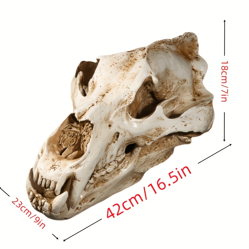 realistic resin polar bear skull model lifelike arctic - Temu Spain