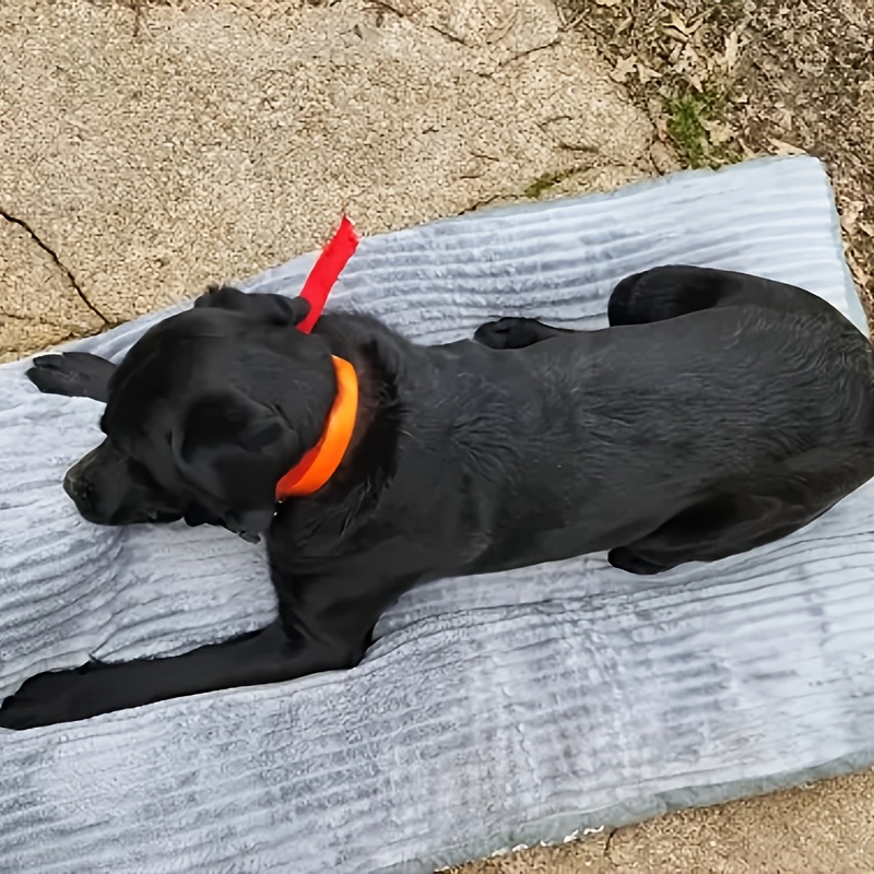 1 square   mat comfortable   resistant and scratch resistant dog bed cat nest suitable for large medium and small cats and dogs   sleep with dog mattress Product details 5