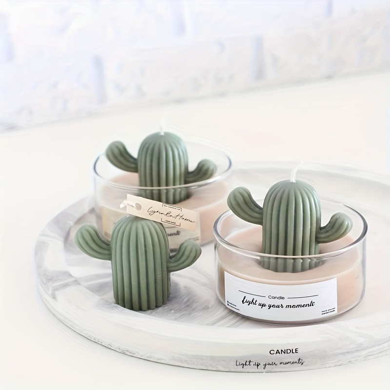 fairy castle cactus care Acanthocereus Tetragonus (Fairy Castle Cactus)