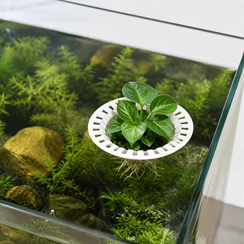 TEMU Panier de hydroponique flottant pour aquarium, terre pour Pothos et plantes grasses, support flottant pour plantes d'aquarium, support blanc, et