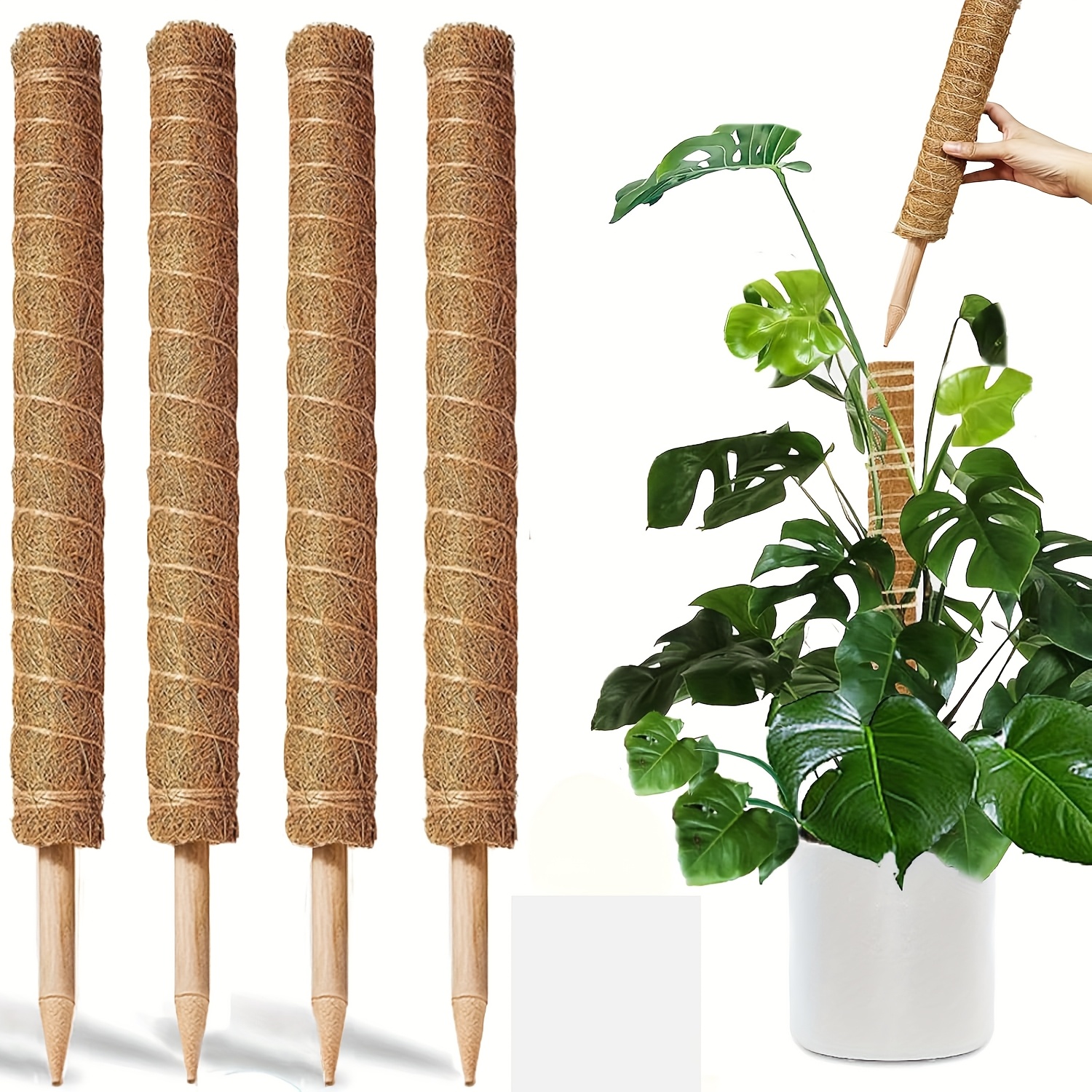 

Moss Pole, 4 Pack 16 Inch Stackable Moss Pole Plants Support, 52 Inches Moss Poles For Climbing Plants Indoor, Moss Poles For Plants, Indoor Plants Accessories, Plant Support Stakes, Plant Pole