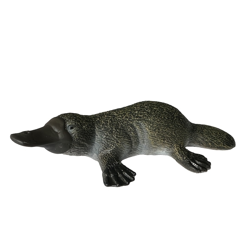 TEMU Ornement de table modèle ornithorynque mammifère sauvage