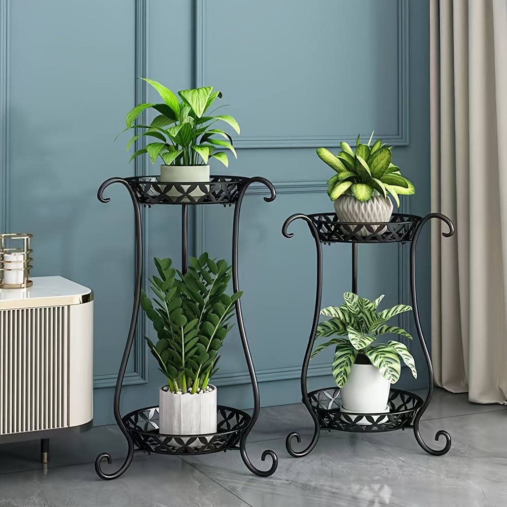 air purifying snake plant 6