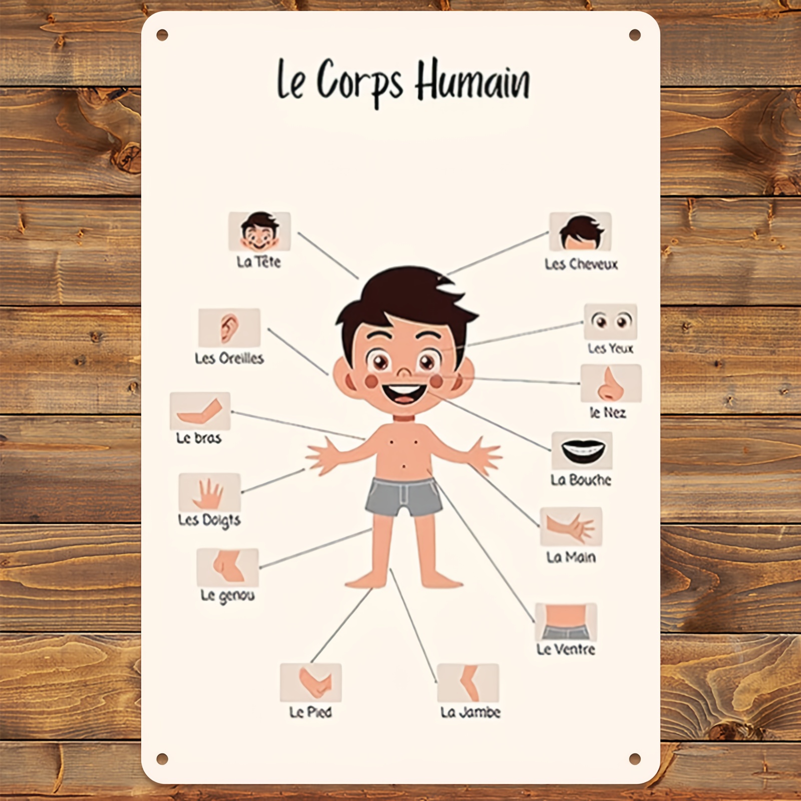 TEMU Affiche Anatomique Française 2D Plate, 1 Pièce - Organes et Parties du Corps Humain en Langue Française - Enseigne Métallique Durable Adaptée à