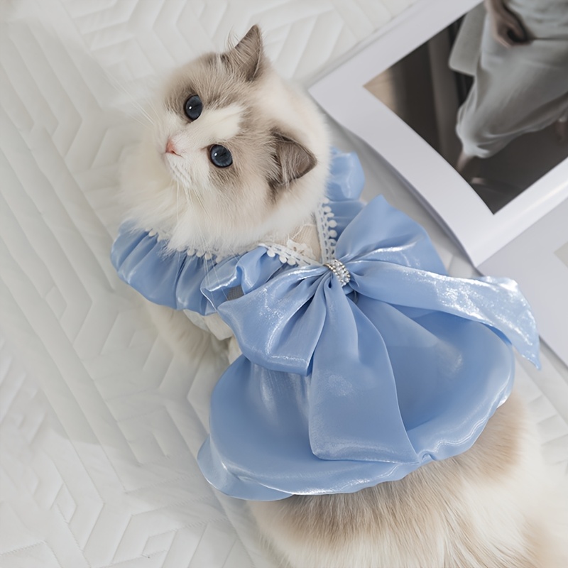 shimmering gown a bow Temu Philippines