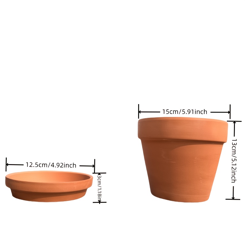 miniature bonsai tree kit Complete Mini Bonsai Starter Kit