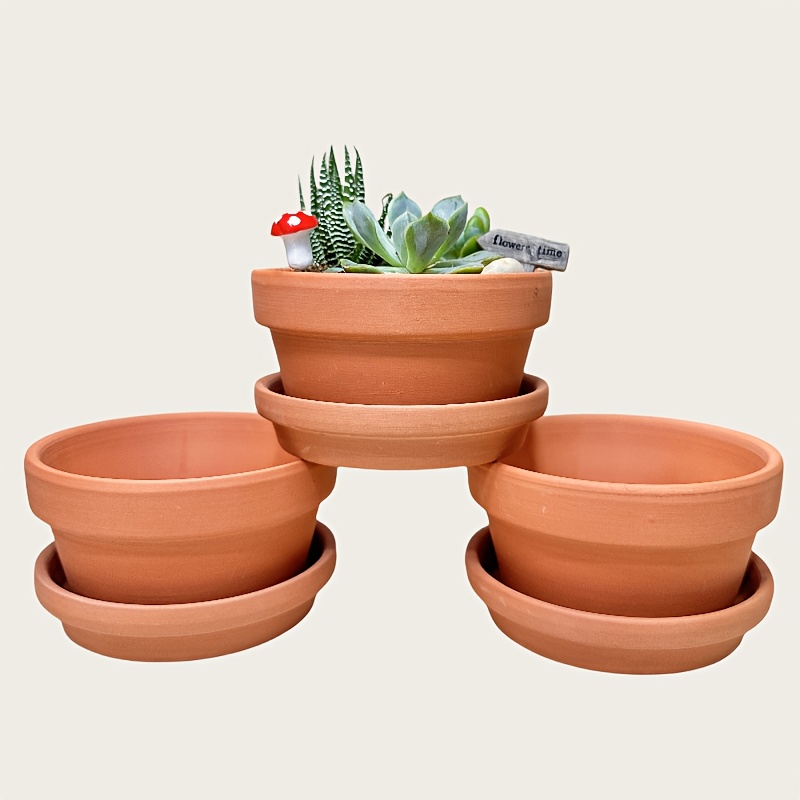 shallow pots sold on Temu United States