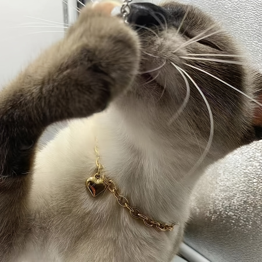 1 versatile cat collar chain adjustable   necklace golden or silvery heart shaped pendant suitable for pet cats kittens and small dogs Product details 4