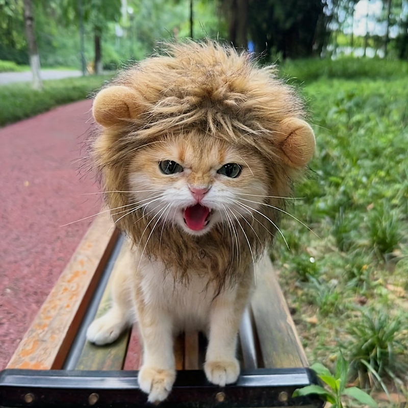 cute cat dressed as lion adorable mane costume cats durable comfy perfect cat wearing lion costume fringe dress women The LowStock:43309671120947 Color:Nude/Champagne