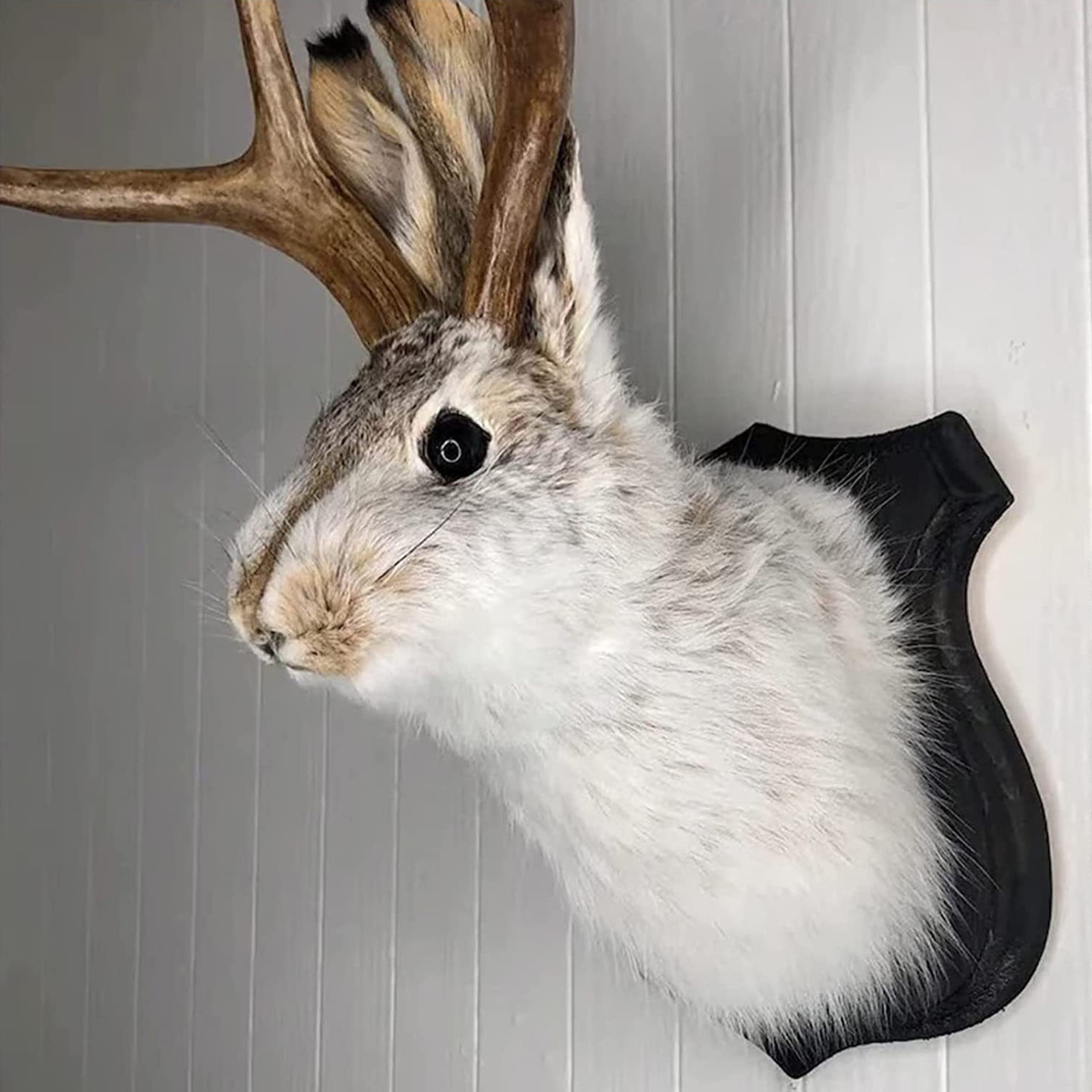 

Mount, Taxidermy, Animal Head Wall Decor, Deer Head Wall Mount, Resin Deer Head Animal Wall Mount For Home Wall Decoration