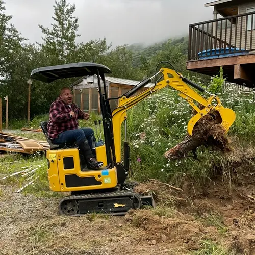 excavator sold on Temu United States