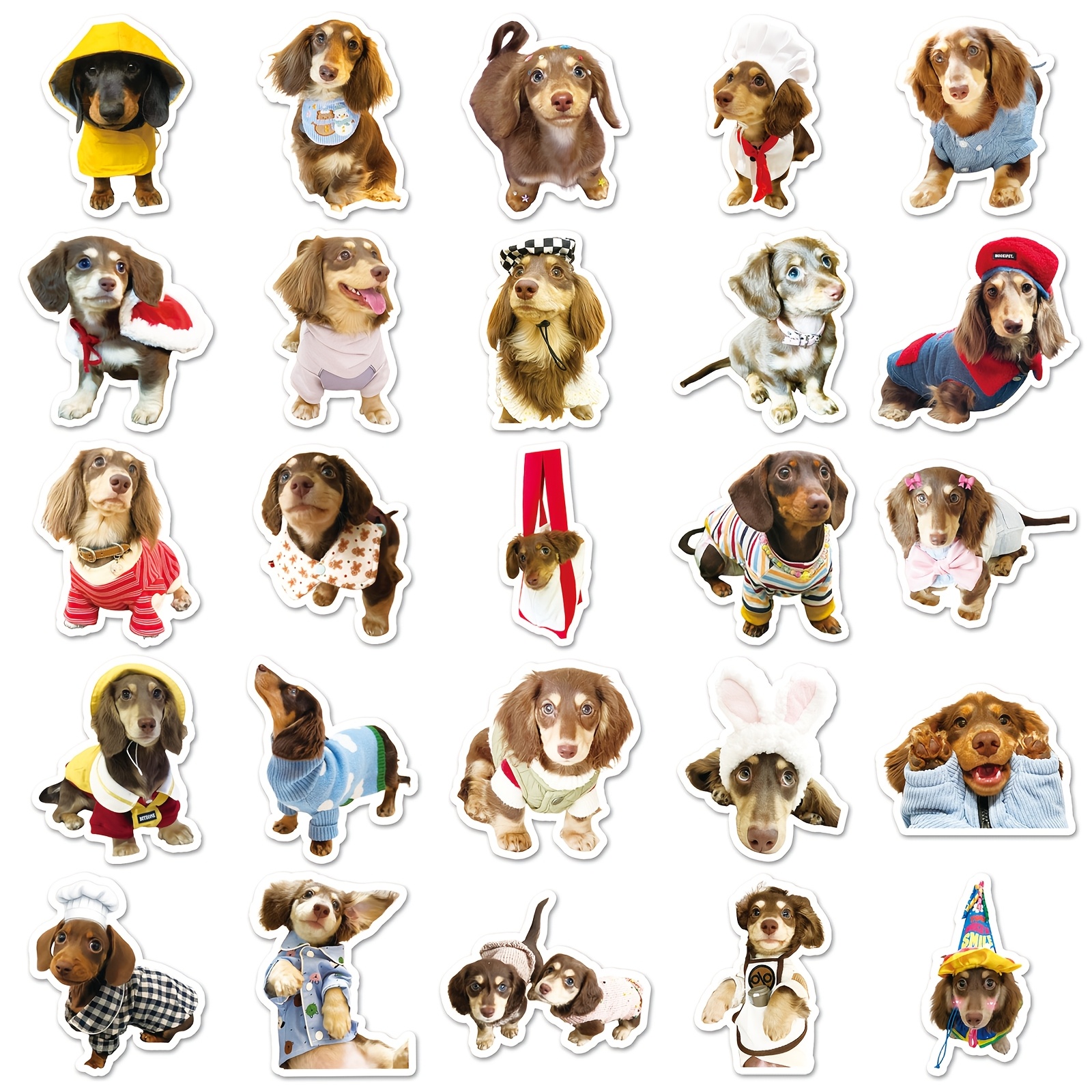 Image of 50pcs Dachshund Graffiti Funny Stickers Vinyl Aesthetic Stickers For Water Bottle, Hardhat, Luggage Bike Skateboard