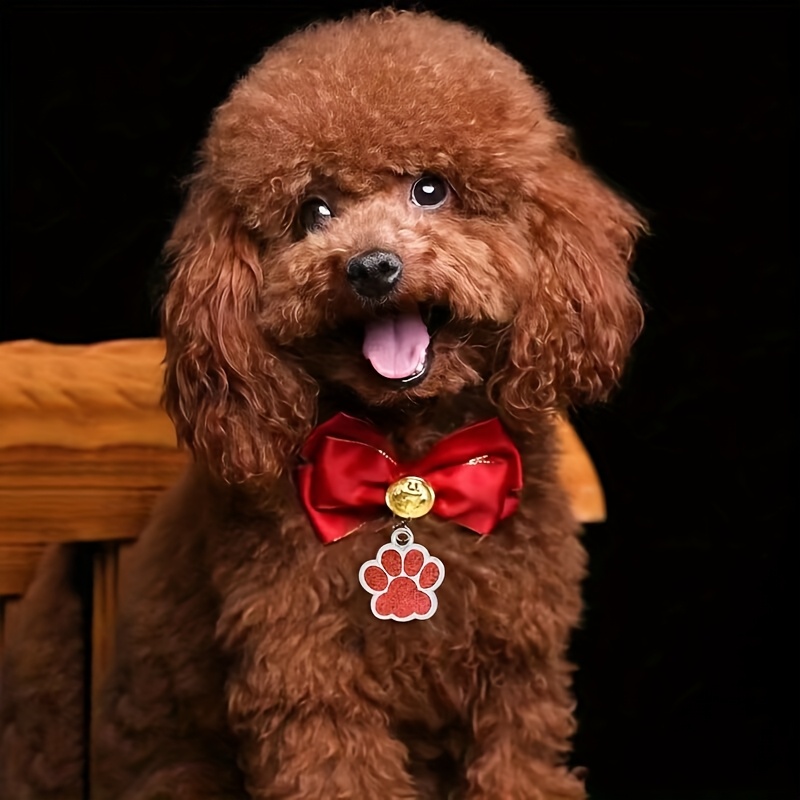 1  personalized dog tag for small to medium cats and dogs Product details 6